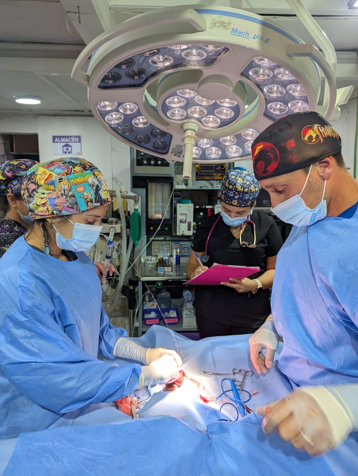 Pabellón del Centro de Traumatología Cafati en La Reina Pabellón de la Veterinaria Cafati en La Reina