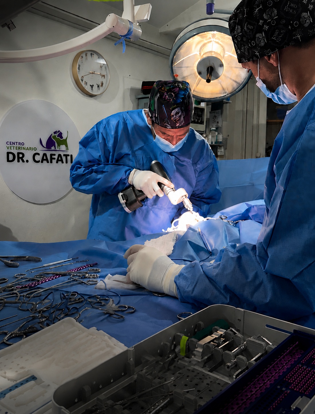 Cirugía ortopédica veterinaria en Santiago Pabellón de cirugía veterinaria Cafati